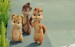 the_chipettes_by_schnuffelienchen-d5mr3sk-1-